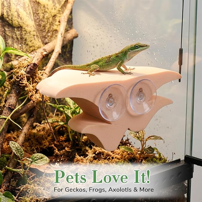 Mushroom Decor Climbing Hold Kit Realistic Terrarium Plants Concealed Jumping Spider Habitat Enclosure Decorate Accessories for Leopard Geckos Crested Geckos Tree Frogs Small Lizards