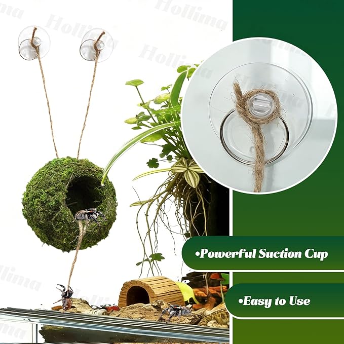 Jumping Spider Moss Cave Hide, Round Green Small Spider Moss Hideout, Jumping Spiders Cave Accessory for Reptile Terrarium