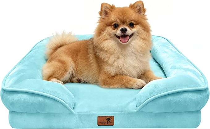 Spotted Play Orthopedic Dog Bed with Sides - Sofa Beds for Small Dogs, Supportive Foam Pet Couch Bed with Washable Removable Cover, Waterproof Lining and Non-Slip Bottom, Ice Blue - S