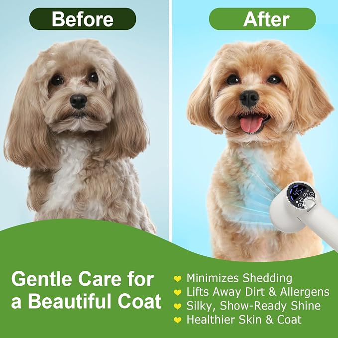3-in-1 Dog Hair Dryer Brush - Adjustable Temp (35°C-60°C) & 4 Speeds, One-Touch Hair Collection for Safe Grooming of Small & Medium Dogs Cats