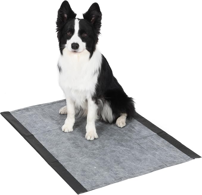 Glad for Pets Giant Activated Carbon Training Pads, 30 x 36 In, 24 Ct, 6-Pk | Adhesive backing and wall protection for leak-proof, super-absorbent day-to-night coverage