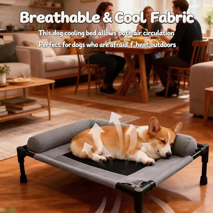 Raised Dog Bed for Small Dogs,Cooling Elevated Bolster Dog Cot,Indoor Outdoor Breathable Mesh Dog Hammock with Metal Frame,Dog Sofa Camping Dog Bed (31.5" L x 23.62" W x 6.69" H)