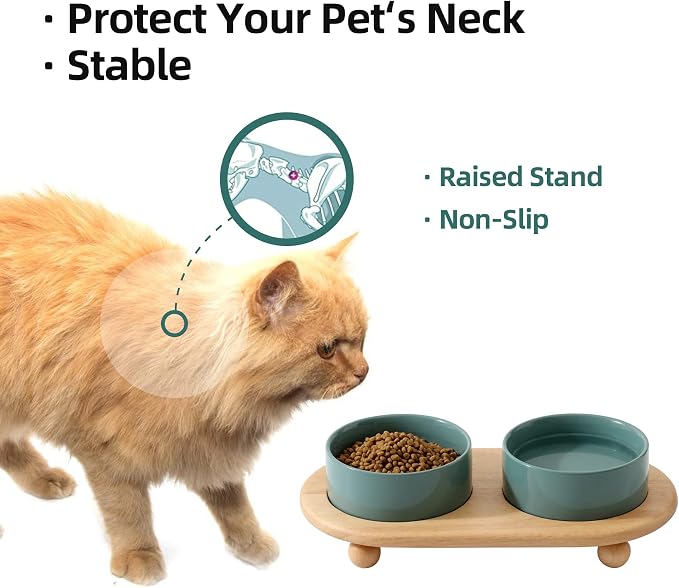 Havniva Raised Cat Bowl 5.1” Elevated Ceramic Cat Food and Water Bowl Set | Cat Bowls Elevated, Whisker Friendly Cat Bowl, Non-Slip Wood Stand, Food-Grade Ceramic, Wide Opening, Dishwasher Safe