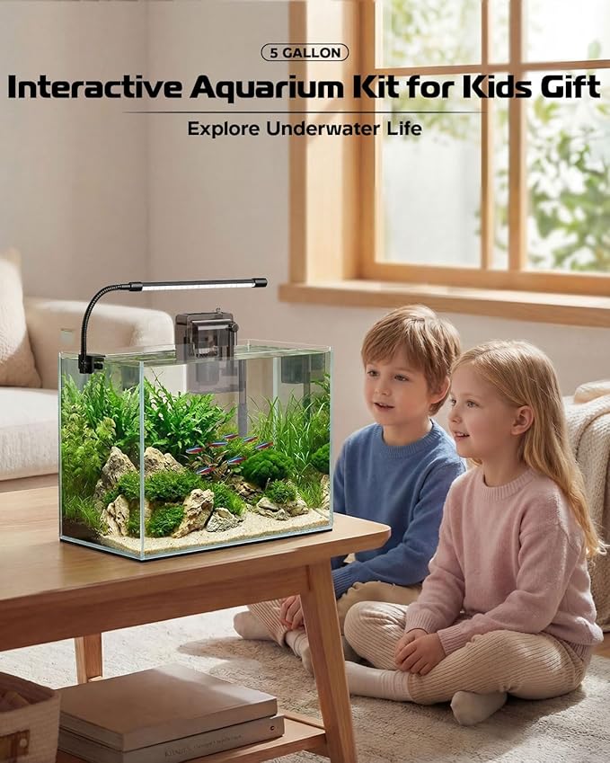 Glass Fish Tank Kit, 5 Gallon Betta Fish Tank Aquarium Starter Kit with Filter, Lights, Lid, for Betta, Goldfish, Small Fish or shrimg，Clear