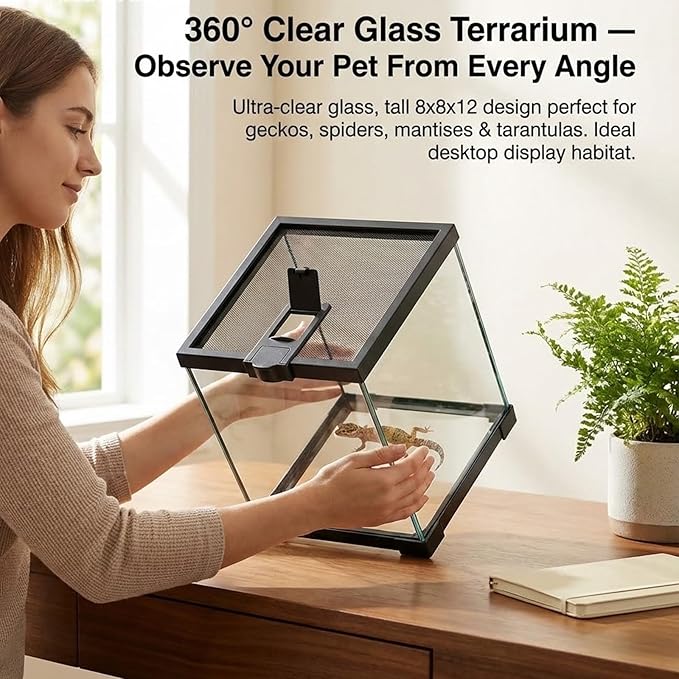 8x8x12 Terrarium Glass Tarantula Enclosure: Jumping Spider Enclosure with Lockable Sliding Screen Top for Crested Gecko Hermit Crab - Full View Stackable Vertical Tank for Arboreal Frog Habitat