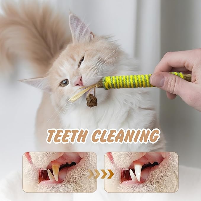 Quacc 4 PCS Silvervine Chew Sticks Natural Silver Vine Sticks Cat Dental Treat Toy for Teeth Cleaning Calm Cat Anxiety Stress