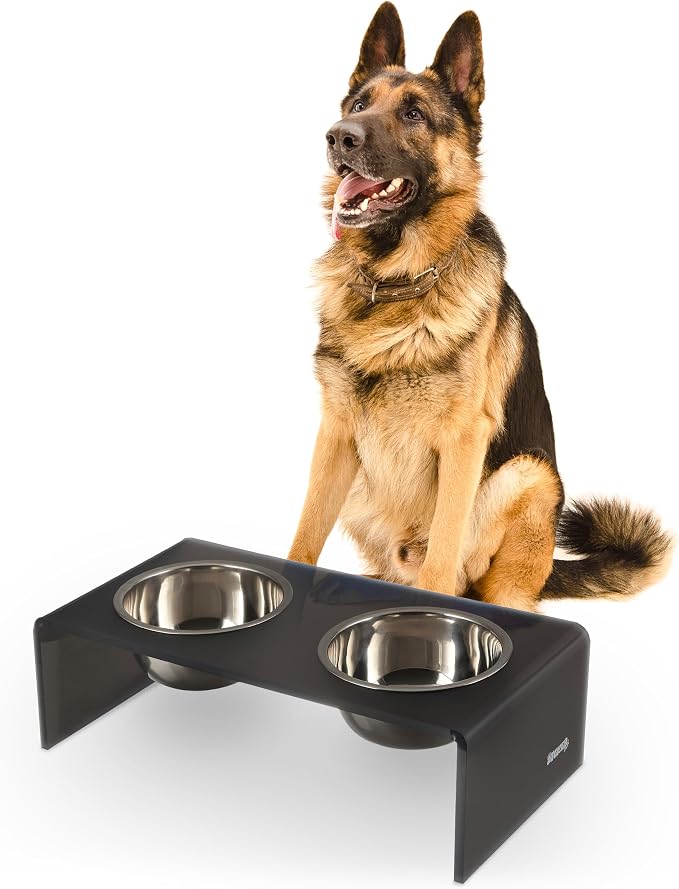 DBL2001J Keaton 7.5" Medium/Large Modern Acrylic Rectangular Elevated Pet Feeder with 54oz 2-Stainless Steel Bowls, Dark Gray/Chrome