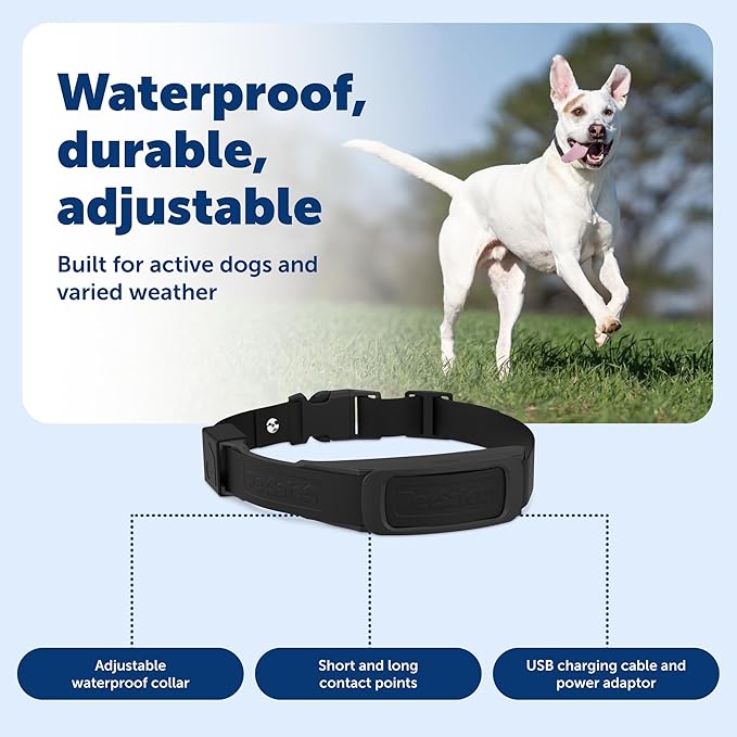 PetSafe Guardian GPS Dog Fence Add-A-Dog Collar - Add-On for Guardian GPS Fence System - AccuGuard Technology - Tone Vibration & 10 Levels of Static Correction - Waterproof Collar - Black