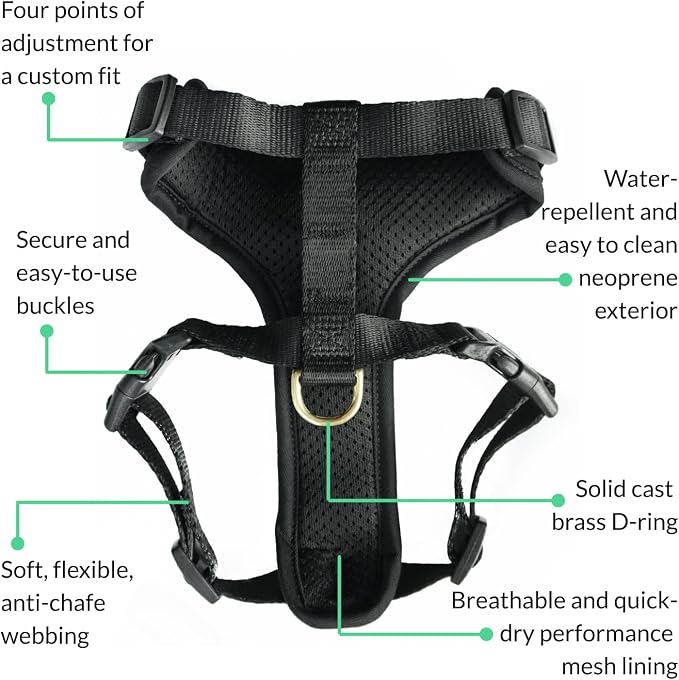 Adventure Dog Harness - Stylish and Comfortable Small Dog Harness for Outdoor Adventures and Everyday Wear - Black Neoprene Adjustable Harness for Dogs with Reflective Piping and Brass D-Ring