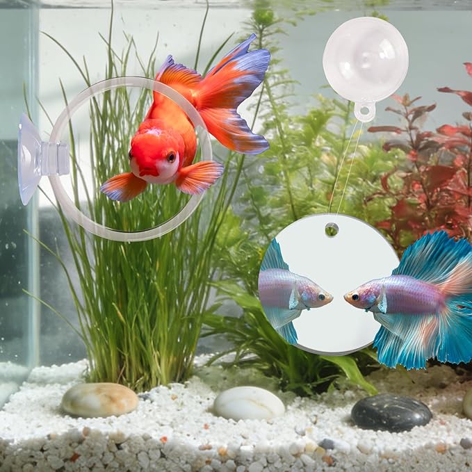 Betta Fish Toys, 2 PCS Fish Exercise Ring and Nitrifying Balls Set, Betta Mirror Toy Set, Feeding Ring with Suction Cup, Fishing Tank Accessories for Gifts (Clear)