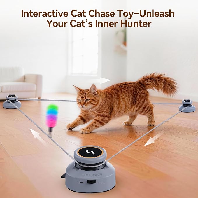 Jripae Automatic Interactive Cat Toys for Indoor Cats with DIY Chase Track | Adjustable Speed, Rechargeable Electric Moving Treadmill Self-Play Exercise Toy with Feather for Bored Kittens & Adult Cats