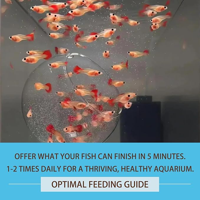 Instant Baby Brine Shrimp Fish Food - No Hatch High Protein Fry Food with Astaxanthin for Betta, Guppy, Discus, Tropical Fish, Corals, Jellyfish & Seahorses in Saltwater & Freshwater Aquarium (50ml)