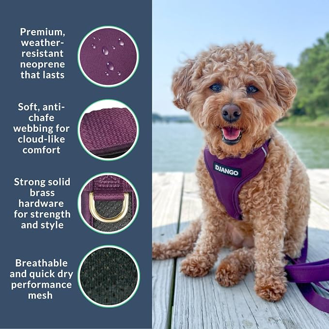 Adventure Dog Harness - Stylish, and Durable Large Dog Harness for Outdoor Adventures and Everyday Wear - Plum Purple Neoprene Adjustable Harness for Dogs with Reflective Piping, Brass D-Ring