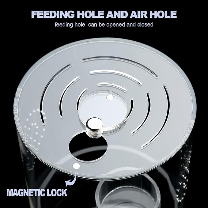 Jumping Spider Enclosure Starter Kit with Feeding Dish, Tarantula Cribs for Mantis Snails Ladybugs Insect, Micro Habitat Cage Accessories