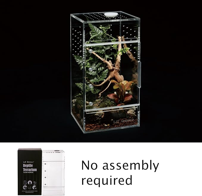 Acrylic Terrarium for Reptiles & Spiders – Small/Medium/Large Leak-Proof Enclosure (Horizontal/Vertical) | Ideal for Tarantulas, Jumping Spiders, Frogs & Geckos(Small, Vertical)