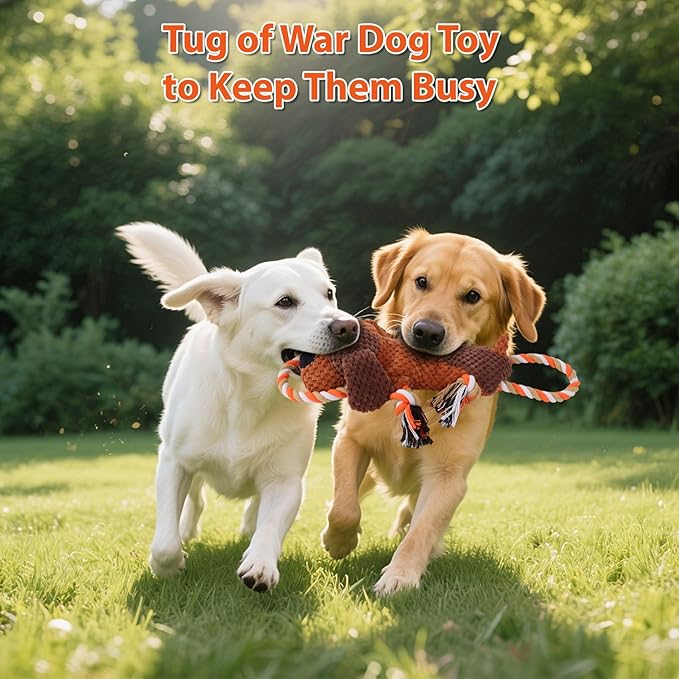 Drmstow Plush Dog Toys with Rope, Squeaker & Crinkle Paper – Interactive Squeaky Chew Toy for Large Dogs & Puppies – Tough Pet Toy for Tug of War, Fetch & Dental Exercise