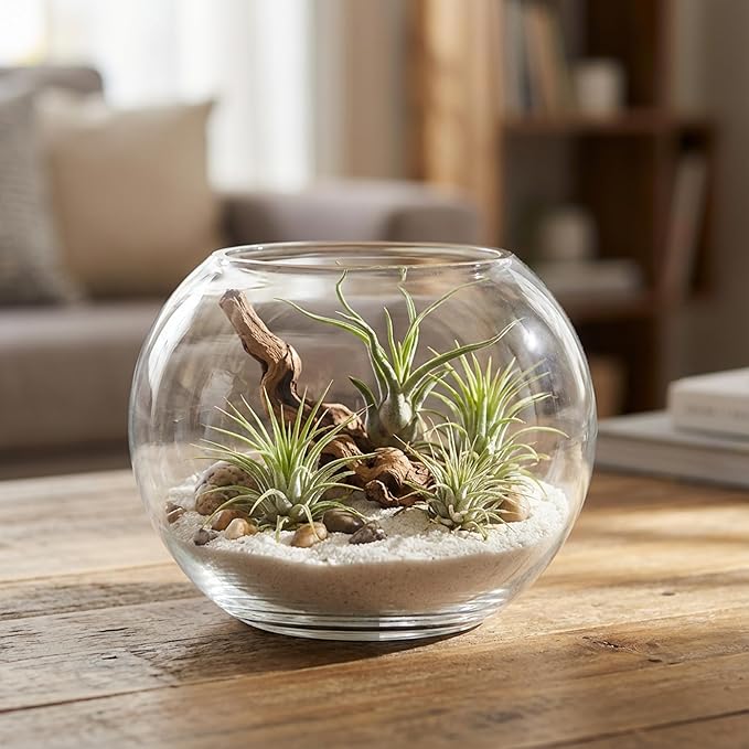 WGV Bowl Glass Vase, Diameter 5.1", Height 3.75", Open Width 3", (Multiple Sizes Choices) Clear Bubble Planter Terrarium Fish Bowl for Wedding Event Home Decor, 24 Pieces (VBW0005)