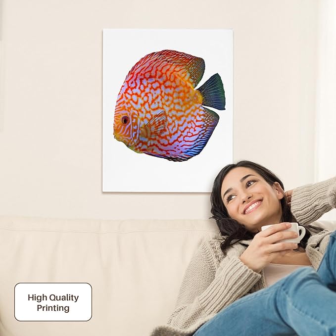 3dRose King Of The Aquarium Discus Fish Image Wildlife Museum Grade Canvas Wrap 16x20