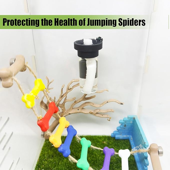 Jumping Spider Water Dispenser, Magnetic Hanging Feeder,Suitable for Jumping Spiders,Tarantulas, Praying Mantises,Arboreal Animals, and Other Small Animal Enclosure Accessories (Black, 15ML)