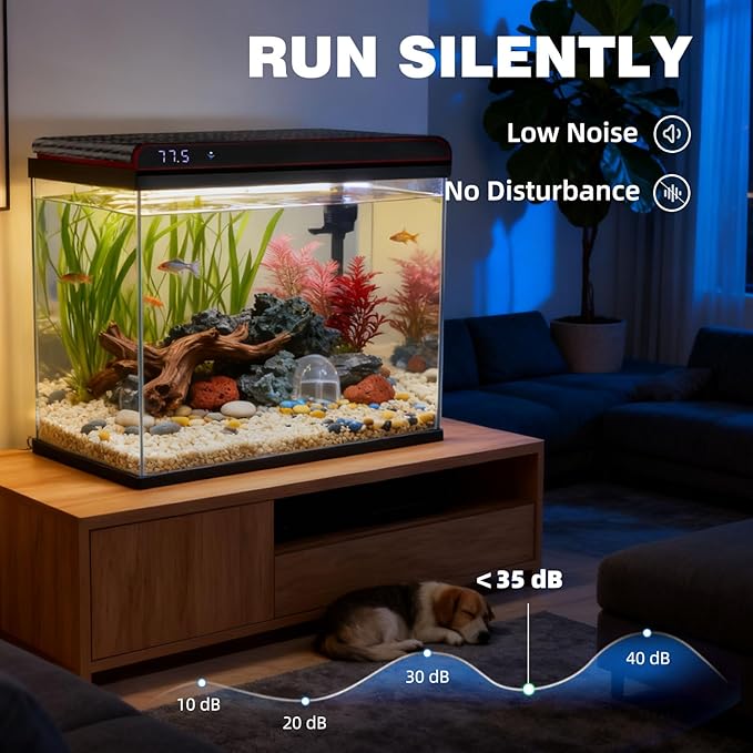 Coospider 20 Gallon Glass Fish Tank, Aquarium Starter Kit, Simple Self-Cleaning Aquarium with 3-Color LED Lights, with Quiet Filter Pump, with Temperature Monitoring for Fish, Shrimp, Kids Gift Ideas