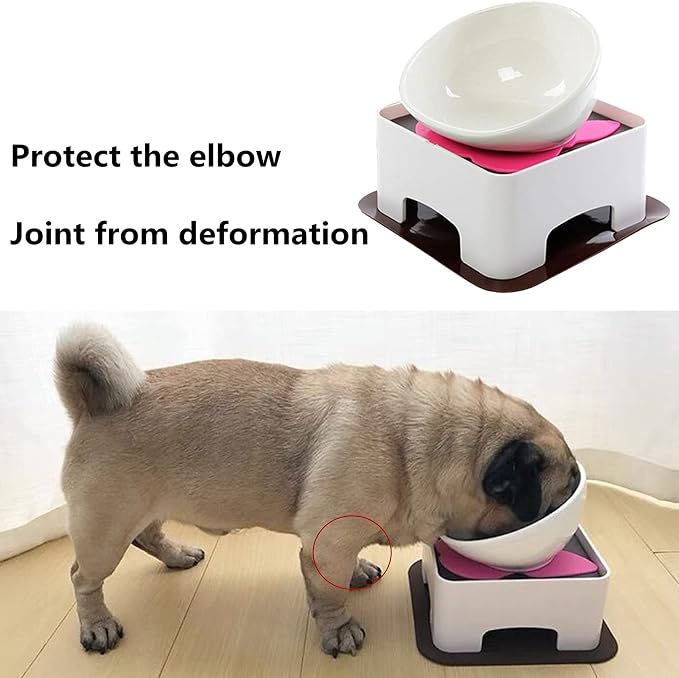 Bulldog Bowl Anti-Slip Dog Cat Dish Detachable Rubber Dog Bowl Pet Sterile Tilted Pet Feeder Slope Base
