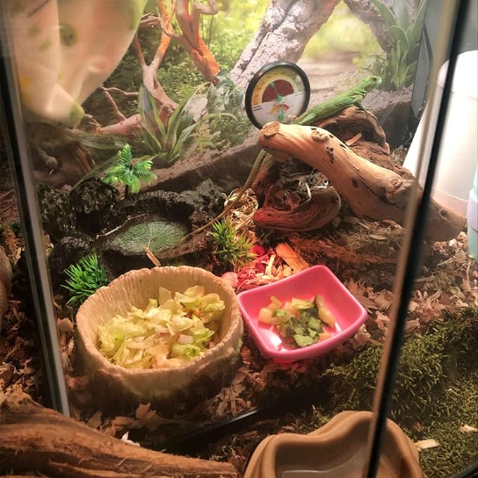 Tfwadmx Reptile Feeding Bowl,Resin Beared Dragon Food Water Dish Reptile Tank Decor for Lizard Gecko Chameleon Frog Turtle Spider
