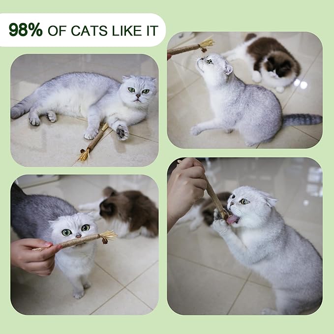 Silvervine Sticks for Cats (6 Pcs),Natural Catnip Sticks,Cats Chew Dental Treat,Cats Toy Wand Interactive, Catnip Toys,Teething Toys for Kittens, timber