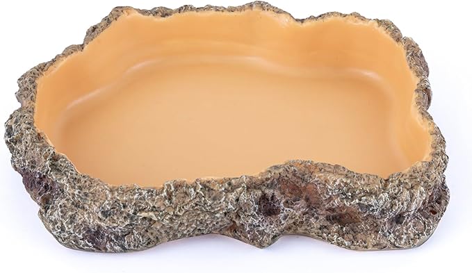 Reptile Food Dish, Terrarium Water Bowl, Feeding Bowl for Reptile Amphibian Pets