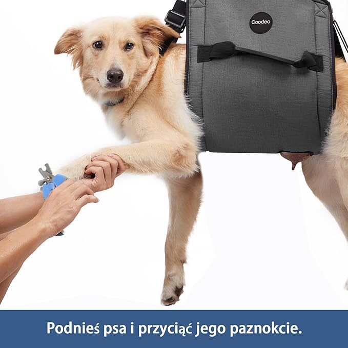 COODEO Dog Carry Sling, Emergency Backpack Pet Legs Support & Rehabilitation Dog Lift Harness for Nail Trimming, Dog Carrier for Senior Dogs Joint Injuries, Arthritis, Up and Down Stairs(M, Black)