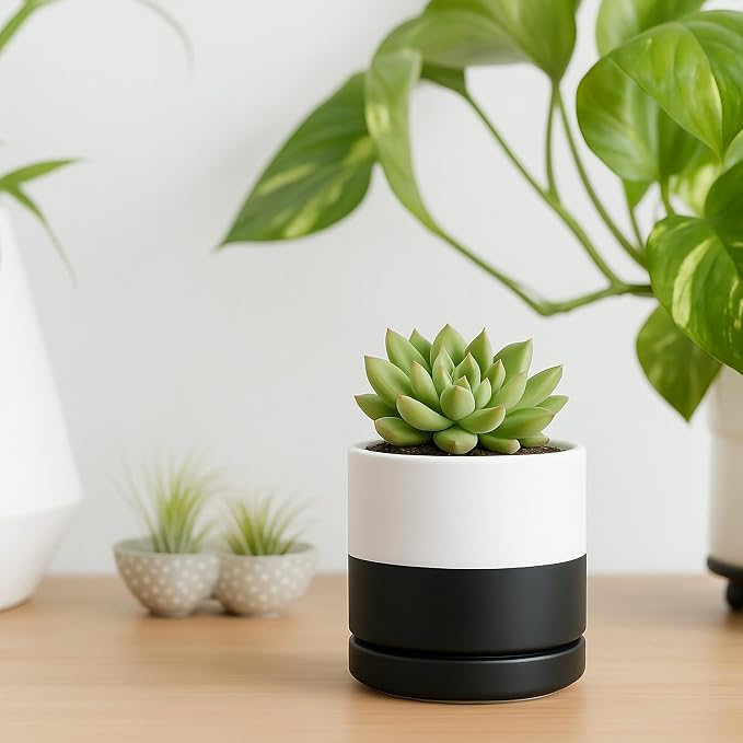 D'vine Dev 3.5 Inch Ceramic Planter Pot, Black White Two Tone, 94-O-A-L | Modern Cylinder Design, Drainage Hole & Saucer Included, Stable Structure, Elegant Home Accent
