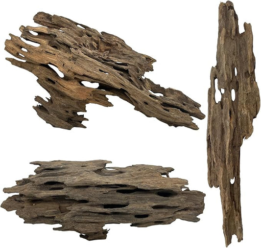 3 PCS Large Natural Honeycomb Wood 8-12", Porous Aquarium Driftwood, Cholla Wood Shrimp Shelter Breeding Cave, Shrimp Dragon Wood for Fish Tank, Aquascaping, Reptile, Terrarium Decor