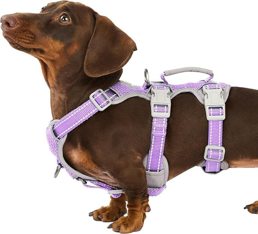 Escape Proof Dog Harness, Secure Dog Harness No Escape,Fully Reflective Harness with Handle,Breathable,Durable,Adjustable Vest for Small Dogs Walking,Training & Running Gear(Lavender Purple,S)