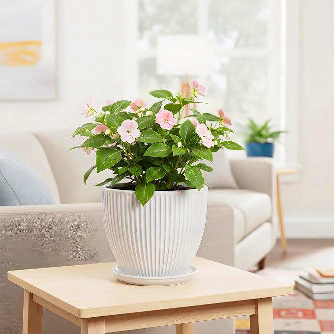 8 Inch Plant Pot, Ceramic Planters for Indoor Plants, Round Pots for Plants with Drainage Hole and Saucer, Modern Decorative Flower Pots, Office Bedroom Decor, Gifts for Plant Lovers, White