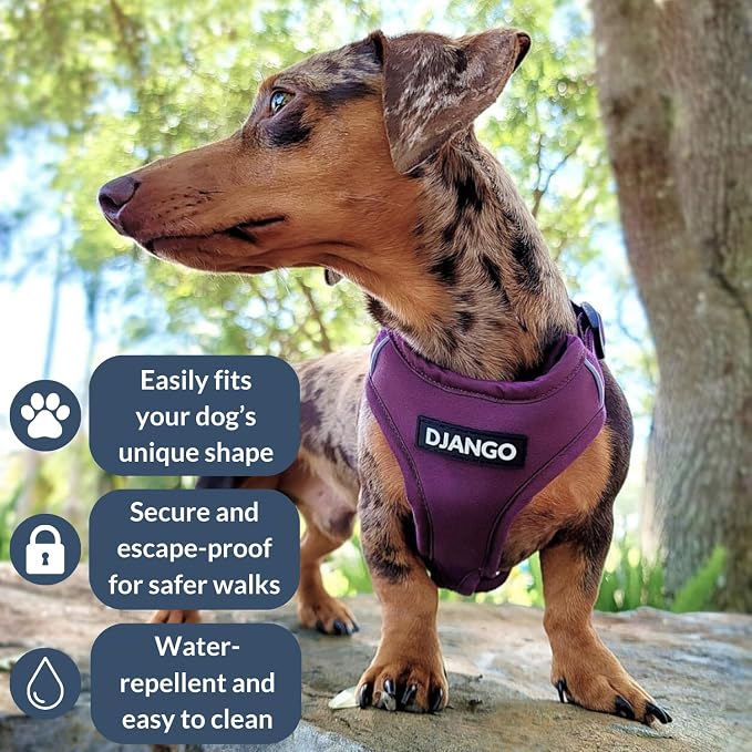 Adventure Dog Harness - Stylish, and Durable Large Dog Harness for Outdoor Adventures and Everyday Wear - Plum Purple Neoprene Adjustable Harness for Dogs with Reflective Piping, Brass D-Ring