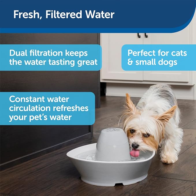 PetSafe Ceramic Pet Fountain – for Cats and Small Dogs 60 Oz Water Capacity Whisper-Quiet Flow – Great for Shy or Timid Pets Fresh, Filtered Water 1 Count (Pack of 4)