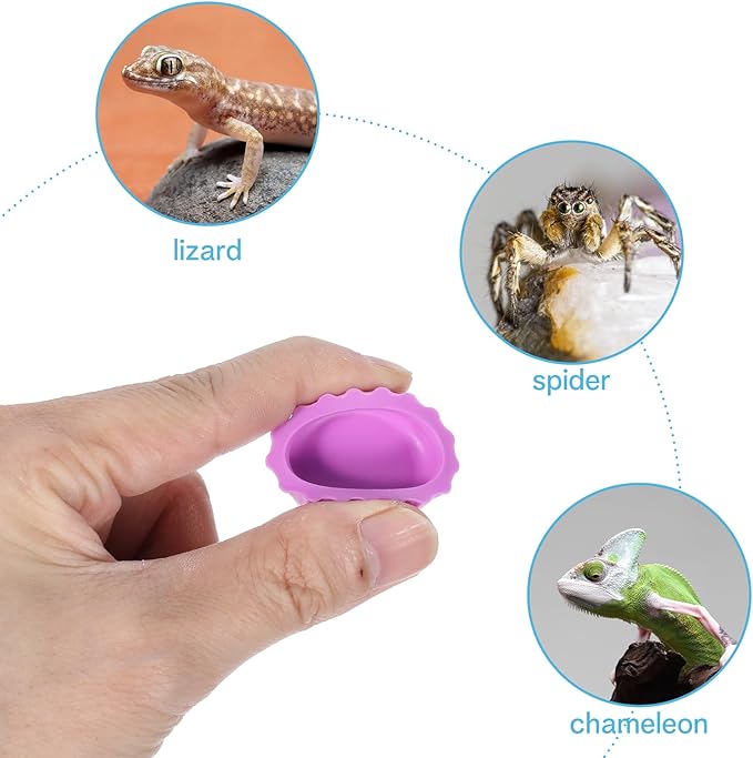 12 Pack Crested Gecko Food and Water Bowl, Reusable Reptile Food Dish, Silicone Colorful Water Bowl Gecko Tank Accessories for Tortoise, Crab,Tarantula, Lizard