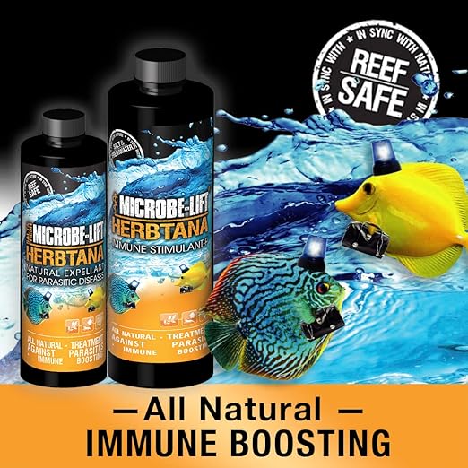 MICROBE-LIFT Herbtana Fish Medicine, Immune Booster and Parasite Treatment for Aquarium Fish Health, Ich Treatment, Use in Freshwater Tank or Saltwater Aquarium, 8 Ounces (HERB08)
