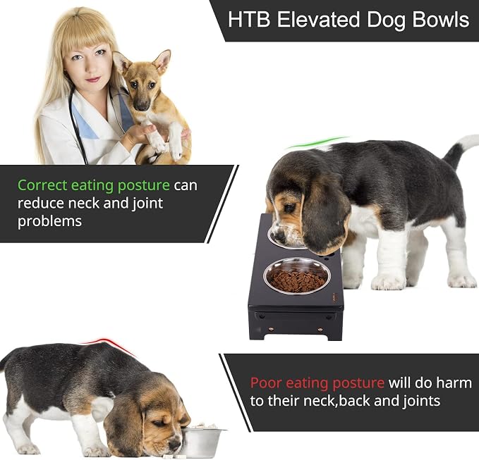 HTB Elevated Dog Bowl Stand with 2 Stainless Steel Bowls-4" H Small Black | Raised Dog Bowl Stand, 4"tall, 21 Oz Bowls, for Small Sized Dogs, Pet-safe, Solid Bamboo