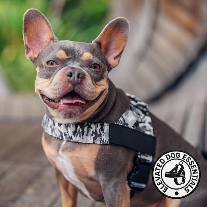Dog Friendly Co. Dog Harness for Small Dogs (Grey Camo, Small) | One Click Buckle, Chafe Resistant Webbing, Adjustable Neck & Chest, and Heavy Duty D-Ring, Sturdy Comfortable and Easy to Use