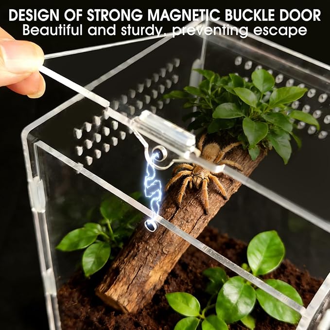 Jumping Spider Enclosure, Acrylic Terrarium with Magnetic Door & All-Side Ventilation, Easy-Clean Habitat for Spider, Tarantula, Mantis, Snail(Tweezer and Bowl Included)