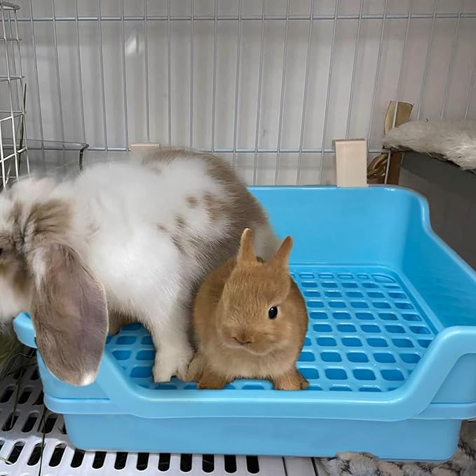 kathson Extra Large Rabbit Litter Box Trainer Rabbit Toilet Small Animal Potty Bunny Litter Pan Box for Adult Guinea Pig Rats Chinchilla Ferret Galesaur (Blue)