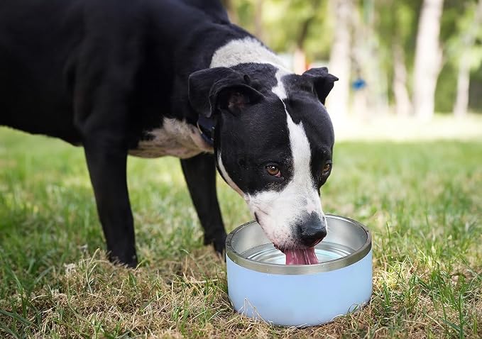 ALPINE Set of 2 Stainless Steel Dog Bowls, Non Slip, Metal Pet Bowl for Food and Water, Double Walled Insulated, Rustproof, Dishwasher Safe (32 oz, Navy)