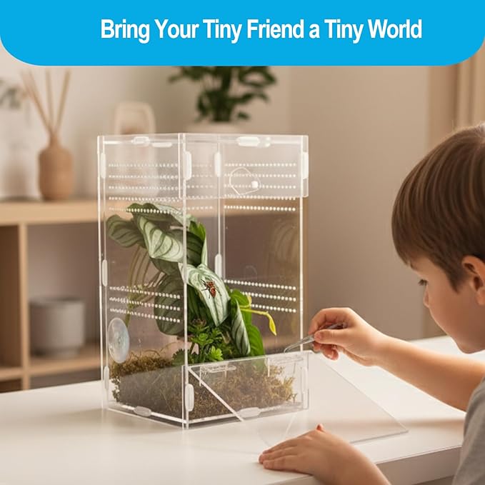 Jumping Spider Enclosure 6”x6”x10”, Arboreal Tarantula Enclosure, Praying Mantis Terrarium Critter Cage for Jumping Spider, Tarantula, Mantis, Snail, Isopods, Beetles, Millipedes