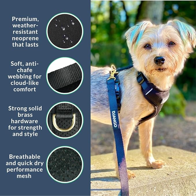 Adventure Dog Harness - Stylish and Comfortable Small Dog Harness for Outdoor Adventures and Everyday Wear - Black Neoprene Adjustable Harness for Dogs with Reflective Piping and Brass D-Ring