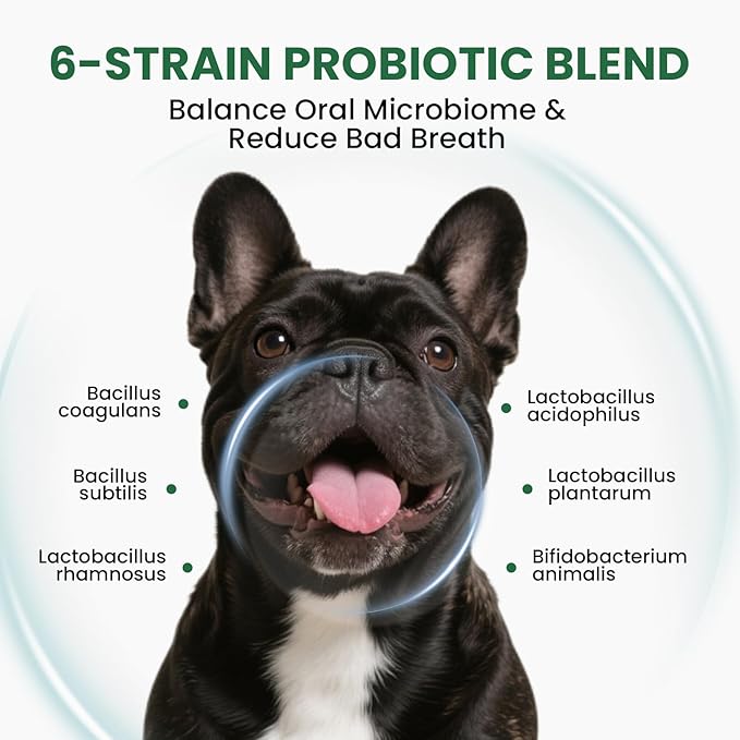 Dog & Cat Dental Powder: Ultimate Breath Freshener & Oral Care - Eliminates Bad Breath, Controls Plaque & Tartar - Enzyme & Probiotic Food Topper - Green Tea Flavor 5.64oz