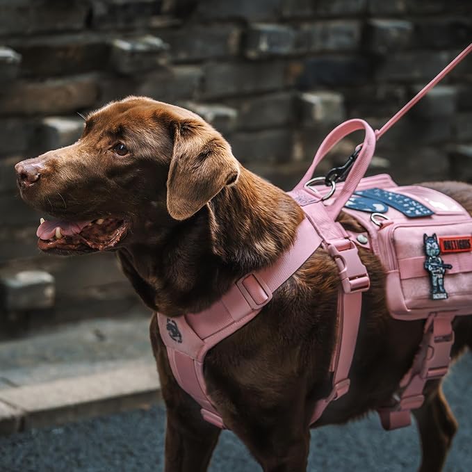 OneTigris Service Dog Vest Harness, Service Dog Cape Guardian Dog Backpack Harness with Pouches Dog Saddle Bag for Small Medium and Large Dogs (Pink, M)