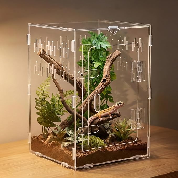 Tarantula Enclosure 8x8x12 Acrylic Terrarium: Front Opening Jumping Spider Enclosure with Door Lock for Crested Gecko Hermit Crab - All-Side Ventilation Arboreal Frog Habitat Gift for Reptile Hobbyist