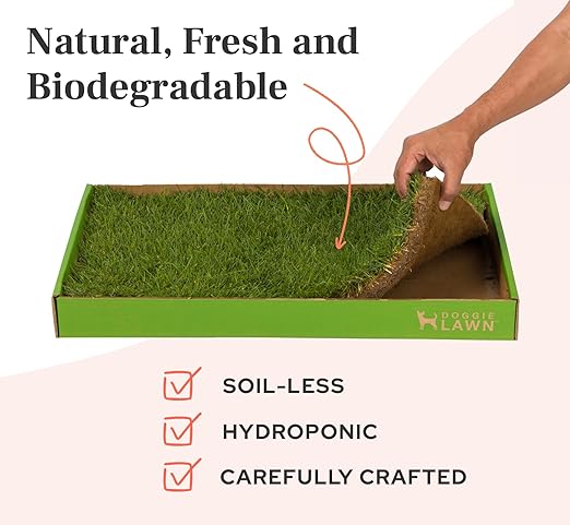 DoggieLawn Real Grass Dog Pee Pads w/ Tray - Medium Dog Potty Pad 24x20 | No-cleaning, odor-reducing puppy potty training pad for housebreaking, indoor or outdoor use, real grass, replace when needed