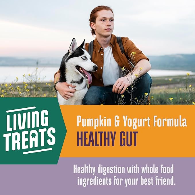 Whole Life Dog Living Treats for Dogs – Human Grade Probiotics for Digestive & Gut Health, Canine Gas, Diarrhea, Vomit & Constipation Relief - Pumpkin, 3 oz (Pack of 1)