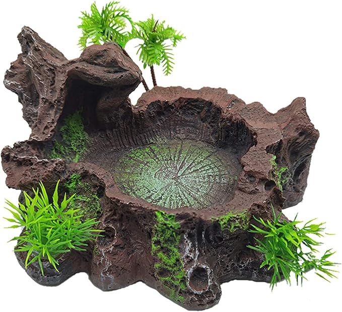 Tfwadmx Reptile Feeding Bowl,Resin Beared Dragon Food Water Dish Reptile Tank Decor for Lizard Gecko Chameleon Frog Turtle Spider
